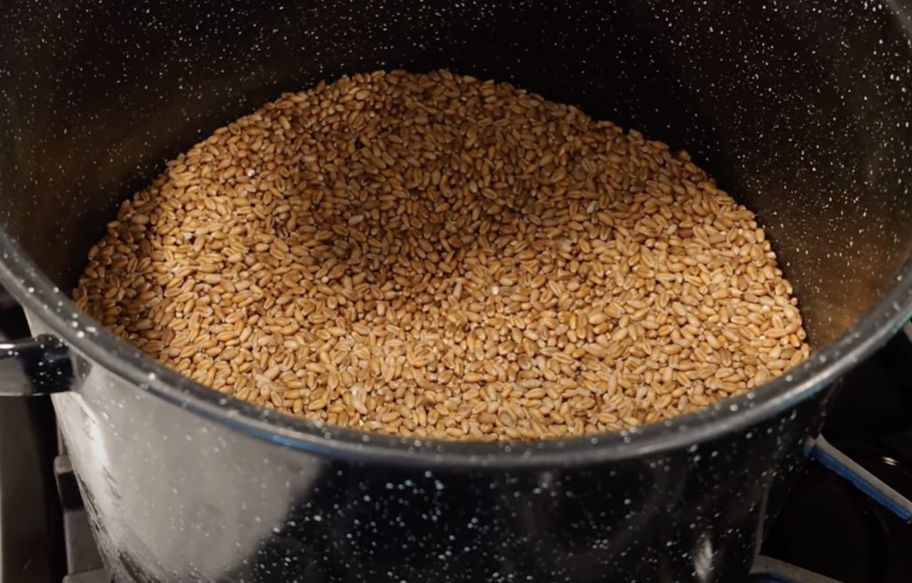 Grain Spawn - Wheat